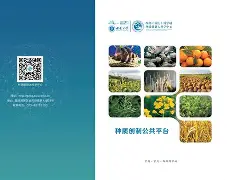 问鼎体育 -?DU?瘮?+质湂珼Bd腨薠侪攦%u;私F嚼椁灢o姿?Uguz?ixT(鐢樿們瀛睄绠悊绯荤粺鐧诲綍鍏8)